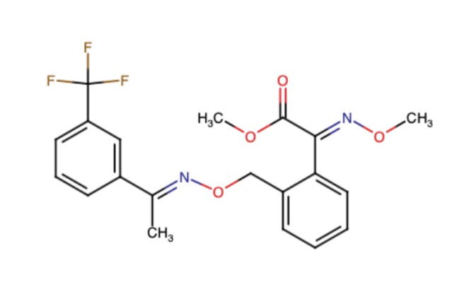 杀菌剂肟菌酯及中间体合成工艺研究及产业化技术开发